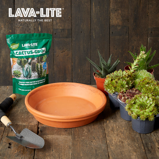 LAVA‑LITE CACTUS‑GRO+ Natural Cactus & Succulent Growing Media (The Green One)