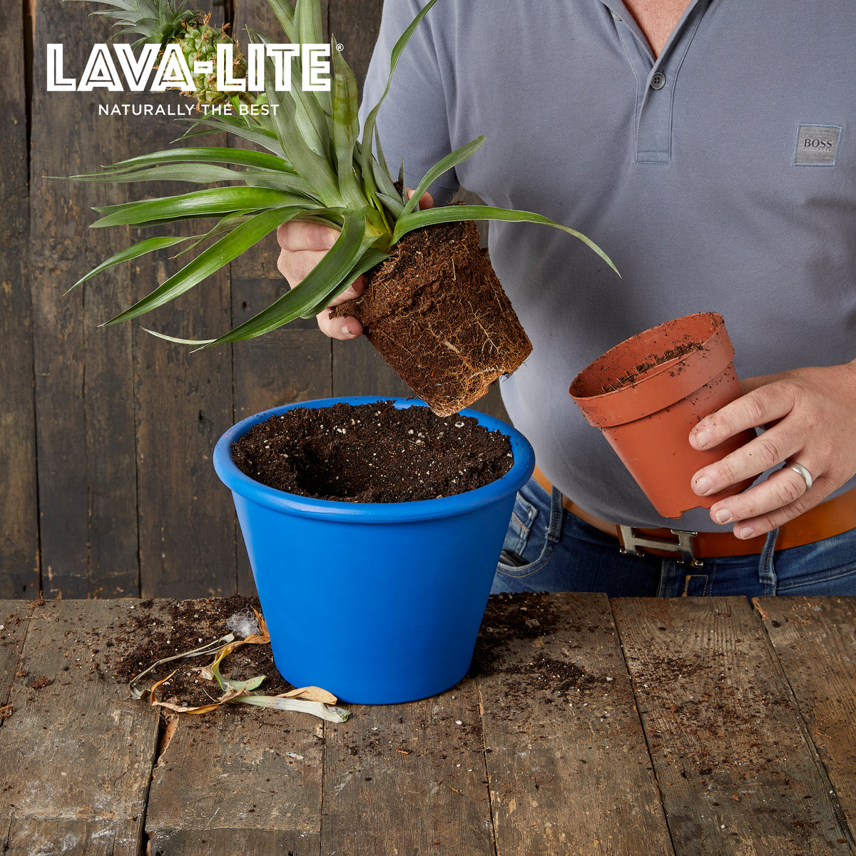 LAVA‑LITE+ Natural Volcanic Growing Media (The Orange One) LAVA-LITE