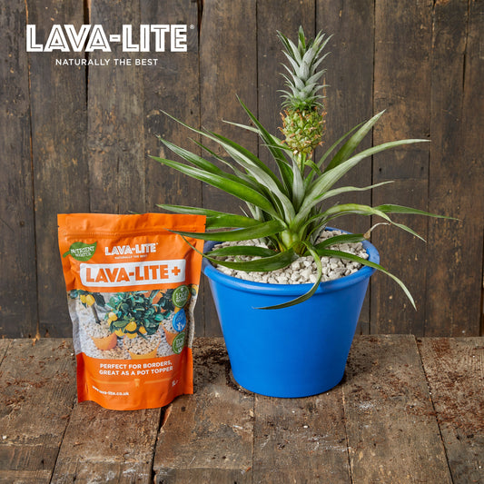 LAVA‑LITE+ Natural Volcanic Growing Media (The Orange One) LAVA-LITE