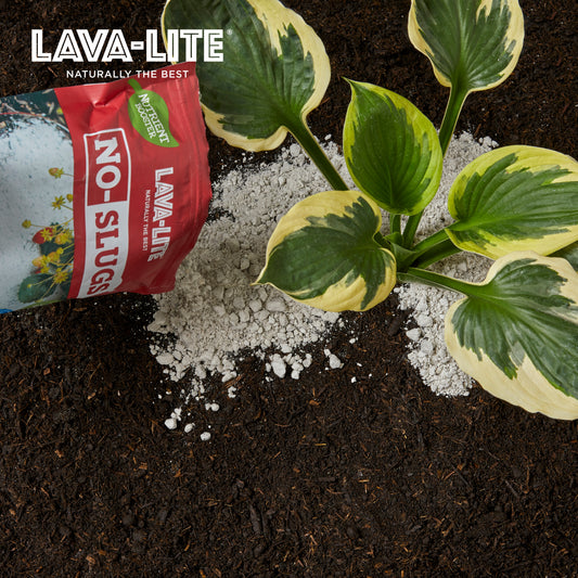 LAVA‑LITE NO‑SLUGS Natural Slug & Snail Deterrent (The Other Red One)