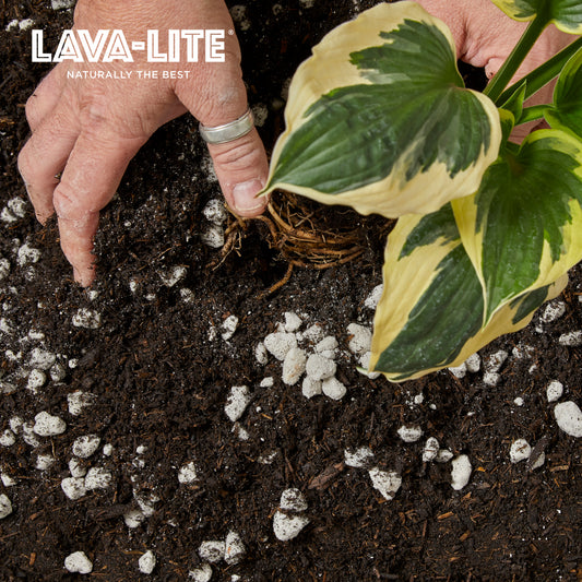 LAVA‑LITE SOIL‑RESTORE+ Natural Volcanic Soil Conditioner (The Brown One)