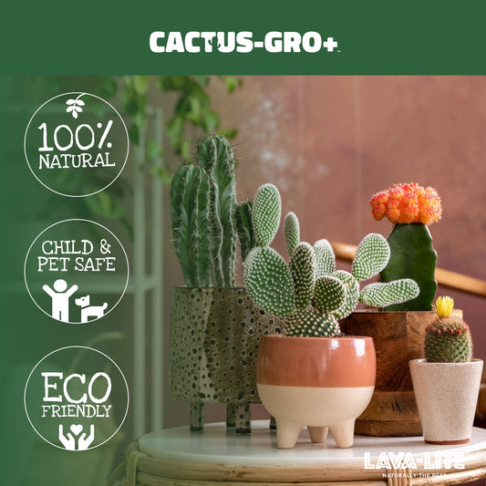 LAVA-LITE Cactus-Gro+ natural volcanic growing media for cacti succulents and bonsai UK