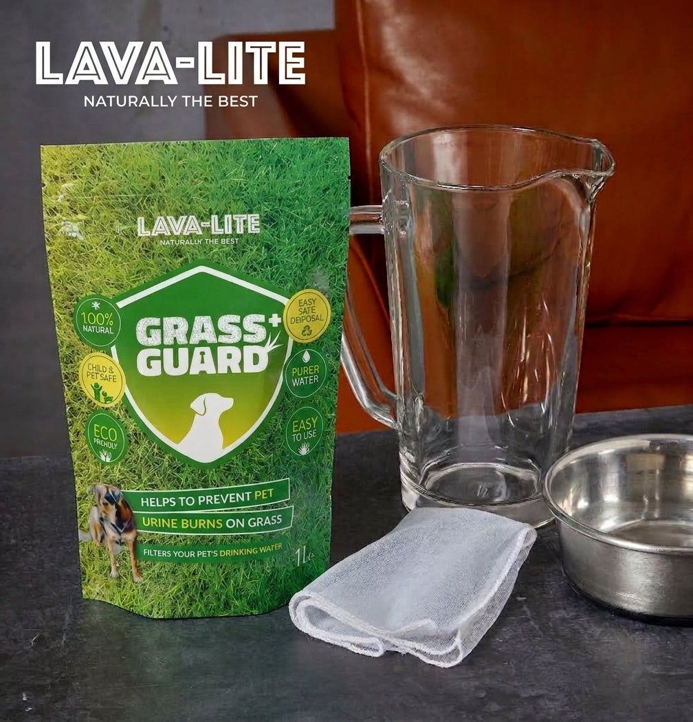Dog Rocks Alternatives: Safe, Natural Ways to Reduce Dog Urine Burn on UK Lawns