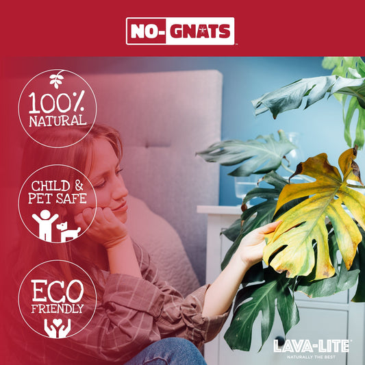 LAVA-LITE No-Gnats natural fungus gnat control for houseplants