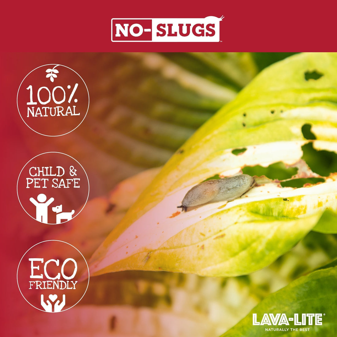 LAVA-LITE No-Slugs natural volcanic slug and snail barrier for UK gardens