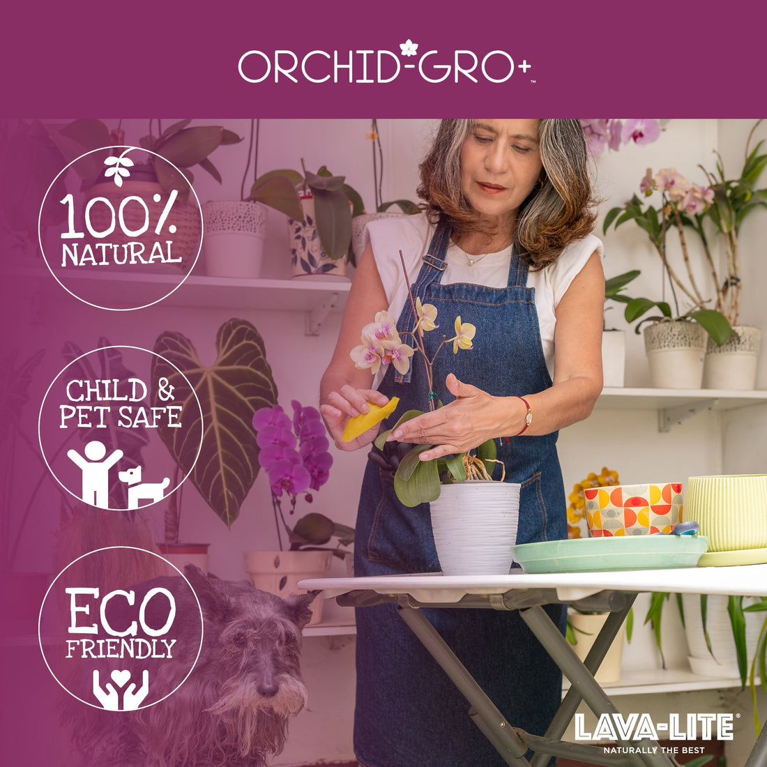 LAVA-LITE Orchid-Gro+ natural volcanic growing media for healthy orchid roots UK