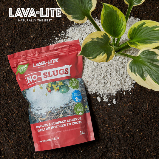 The Complete UK Guide to Natural Slug Control - How to Protect Your Garden Without Chemicals
