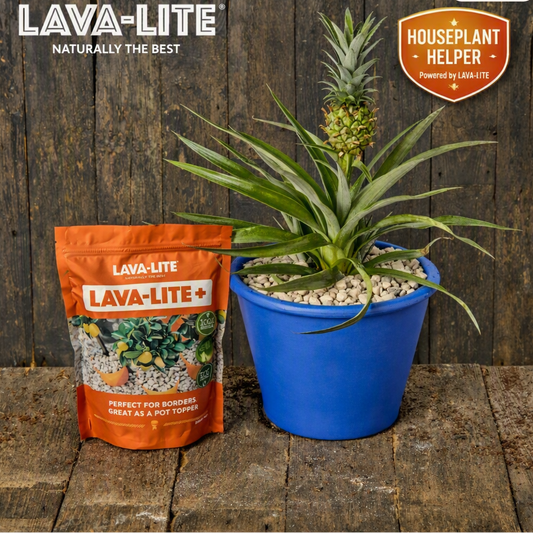 LAVA‑LITE+ Houseplant Helper – Natural Volcanic Growing Media LAVA-LITE