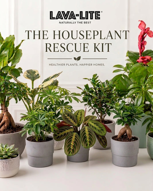 The Houseplant Rescue Kit ⛑️🪴