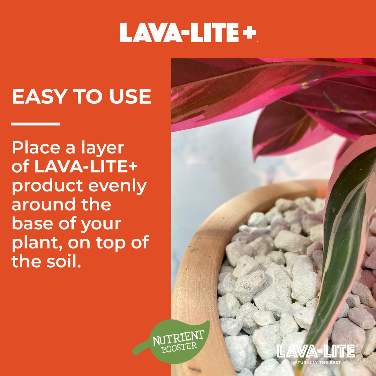 Houseplant Autumn Care Pack LAVA-LITE