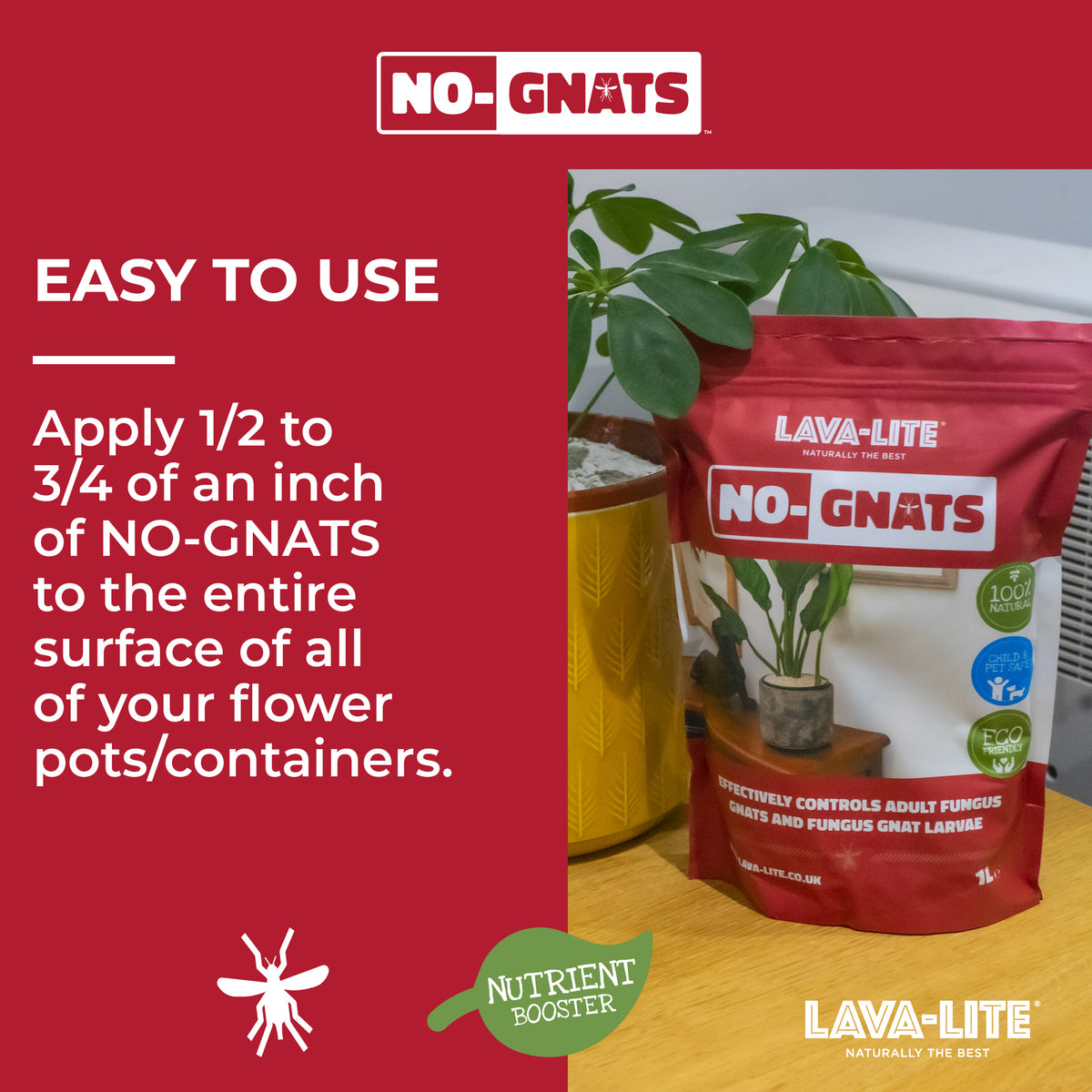 Houseplant Autumn Care Pack LAVA-LITE