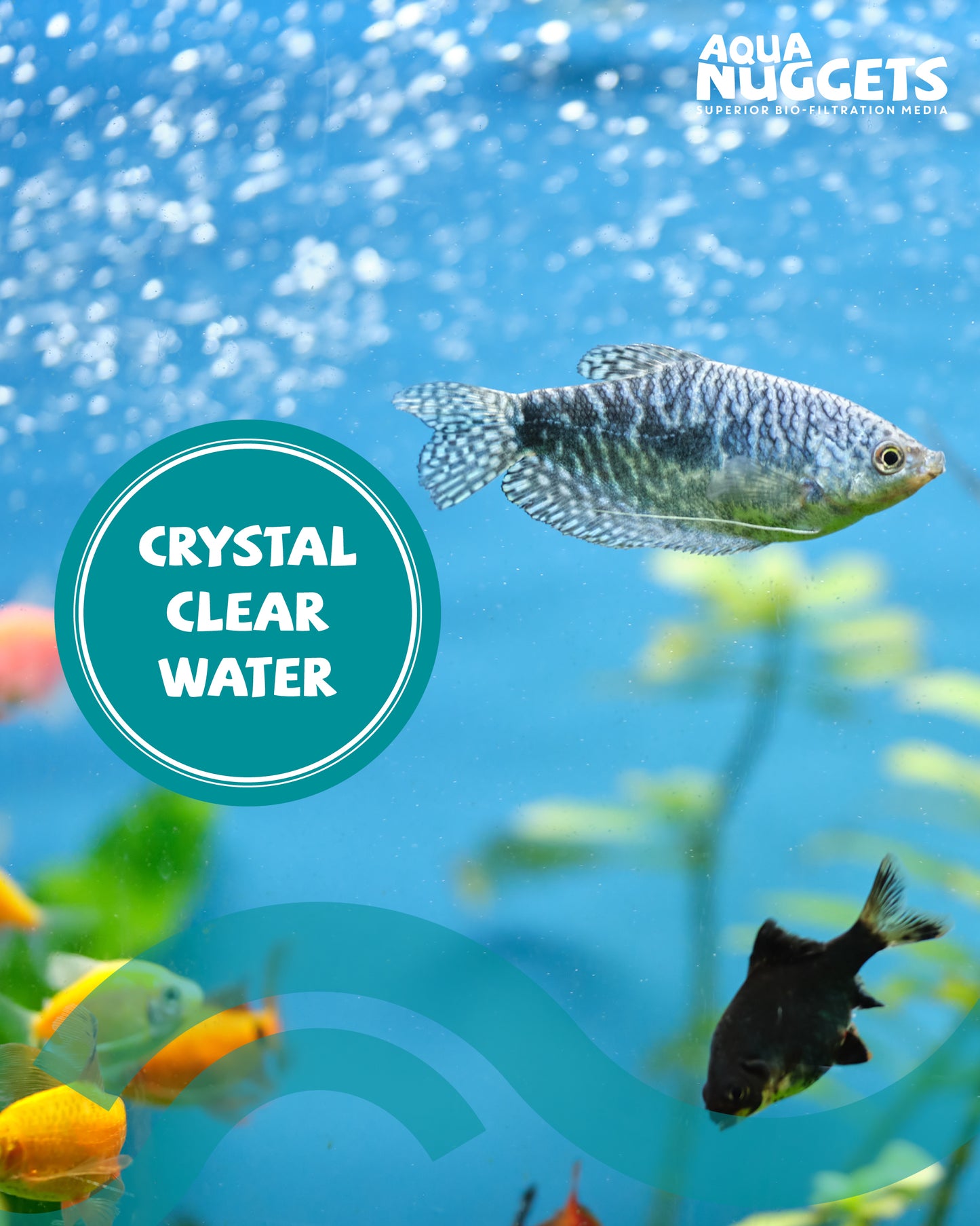 LAVA‑LITE AQUA NUGGETS Superior Bio‑Filtration Media for Ponds & Aquariums LAVA-LITE
Aqua Nuggets added to a small garden pond to improve water flow, reduce odours and support a cleaner, fresher aquatic environment.