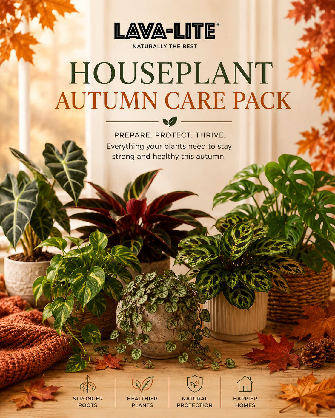 Houseplant Autumn Care Pack 🍂 LAVA-LITE