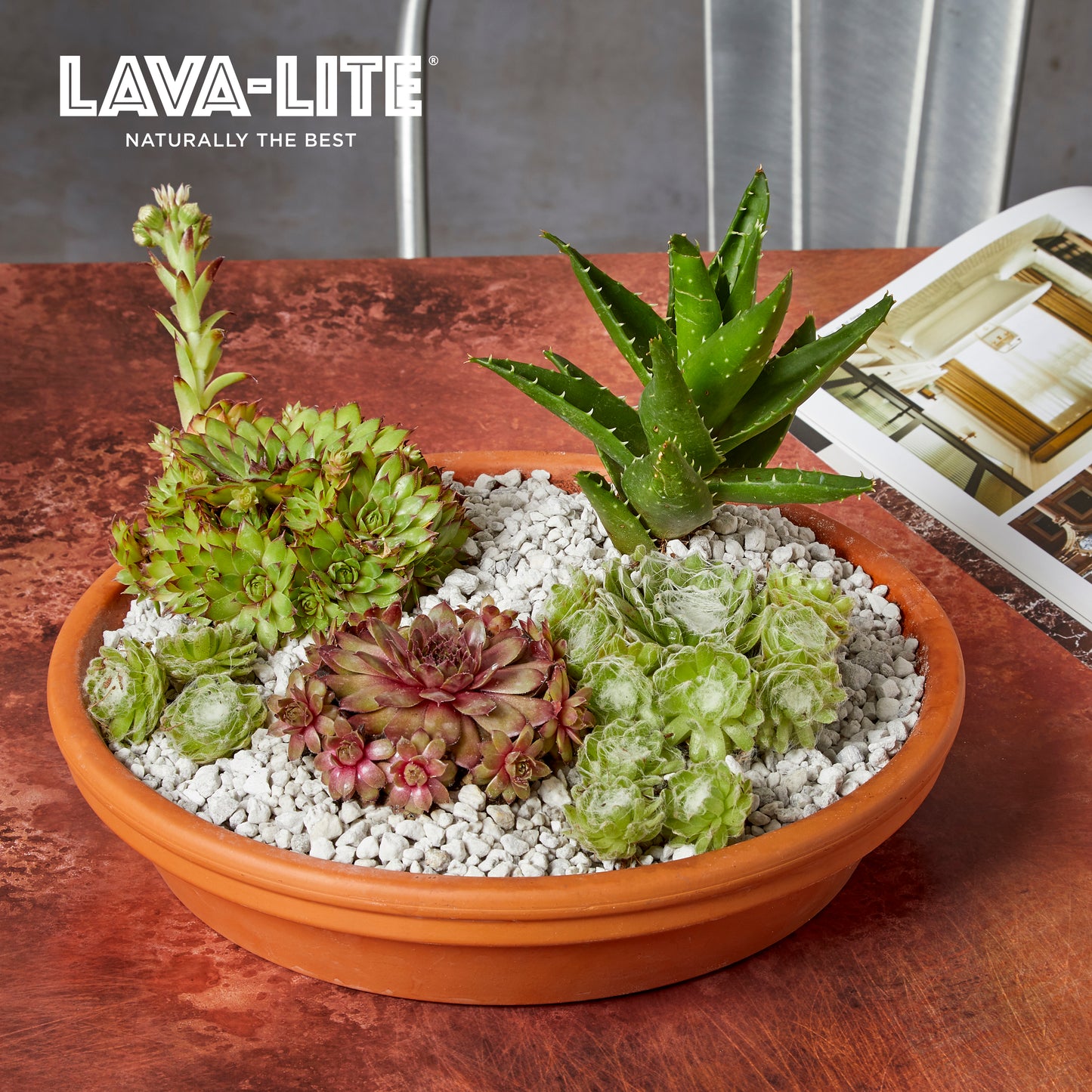 LAVA‑LITE CACTUS‑GRO+ Natural Cactus & Succulent Growing Media (The Green One)