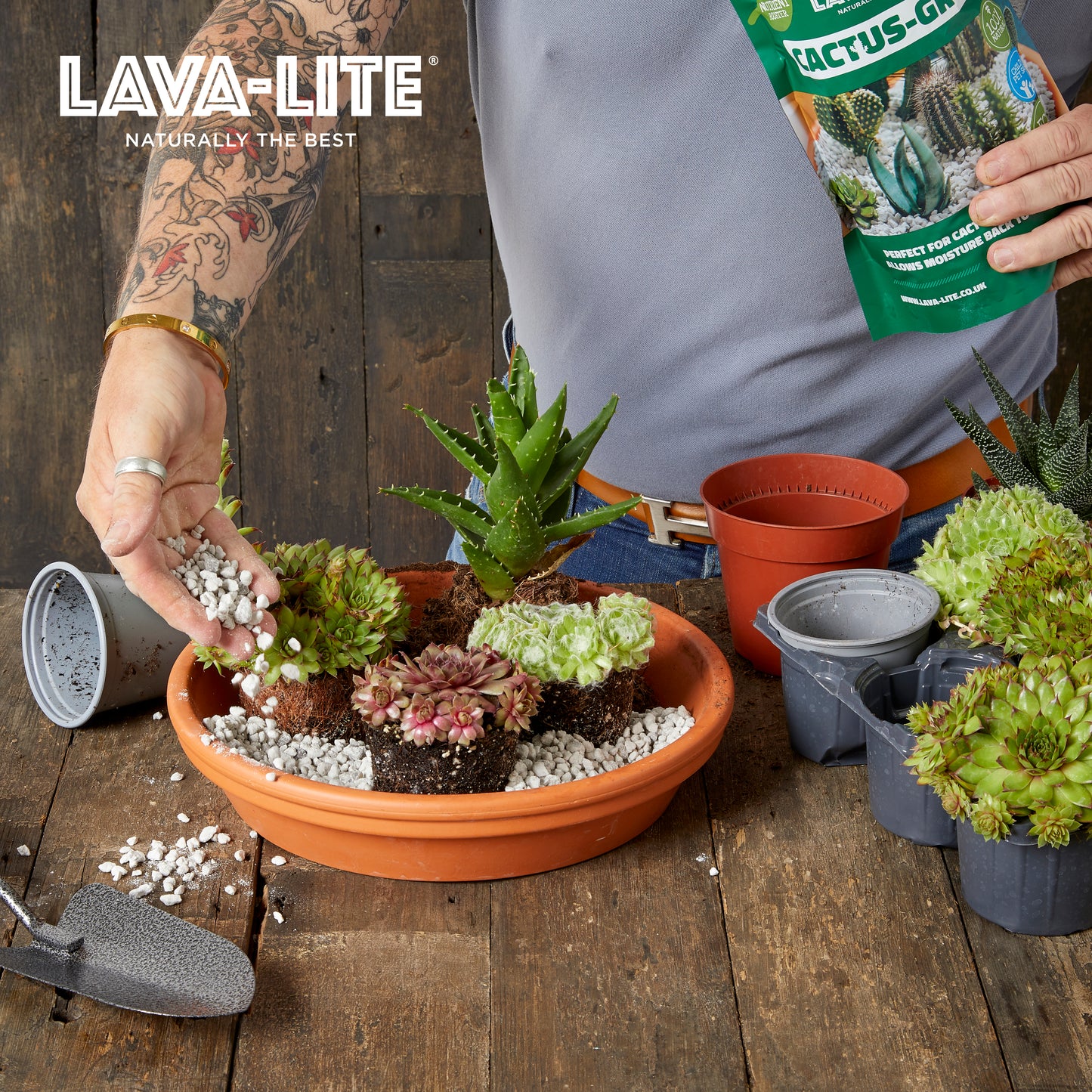 LAVA‑LITE CACTUS‑GRO+ Natural Cactus & Succulent Growing Media (The Green One)