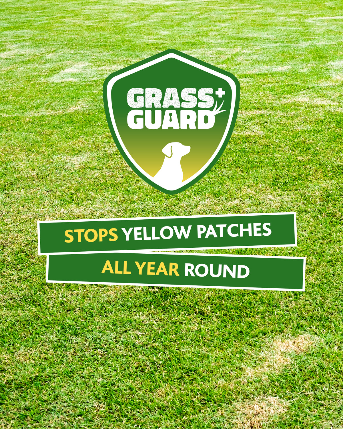 LAVA‑LITE GRASS GUARD+  Dog Urine Lawn Repair & Protection LAVA-LITE