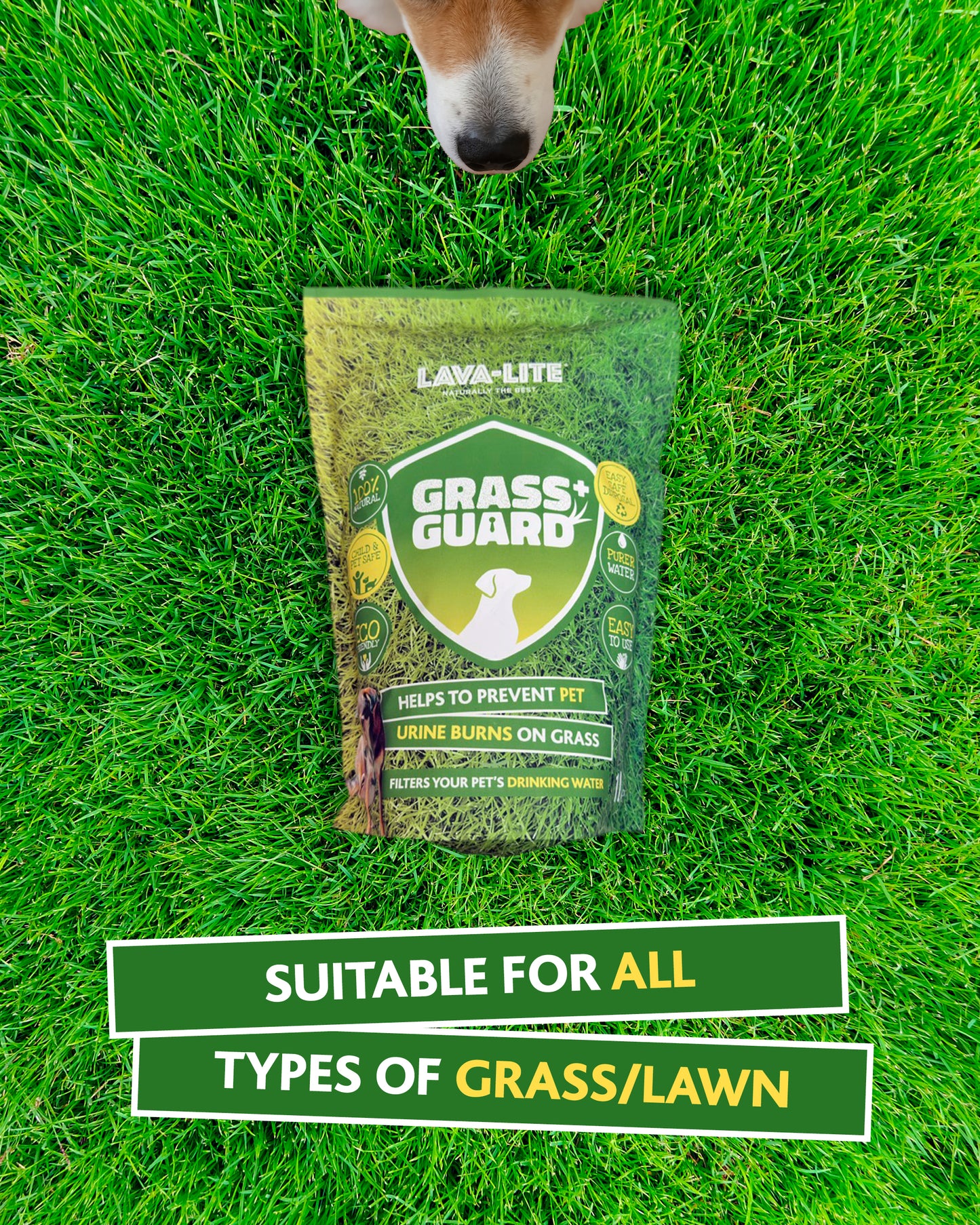 LAVA‑LITE GRASS GUARD+  Dog Urine Lawn Repair & Protection