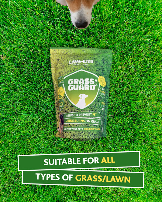 LAVA‑LITE GRASS GUARD+  Dog Urine Lawn Repair & Protection