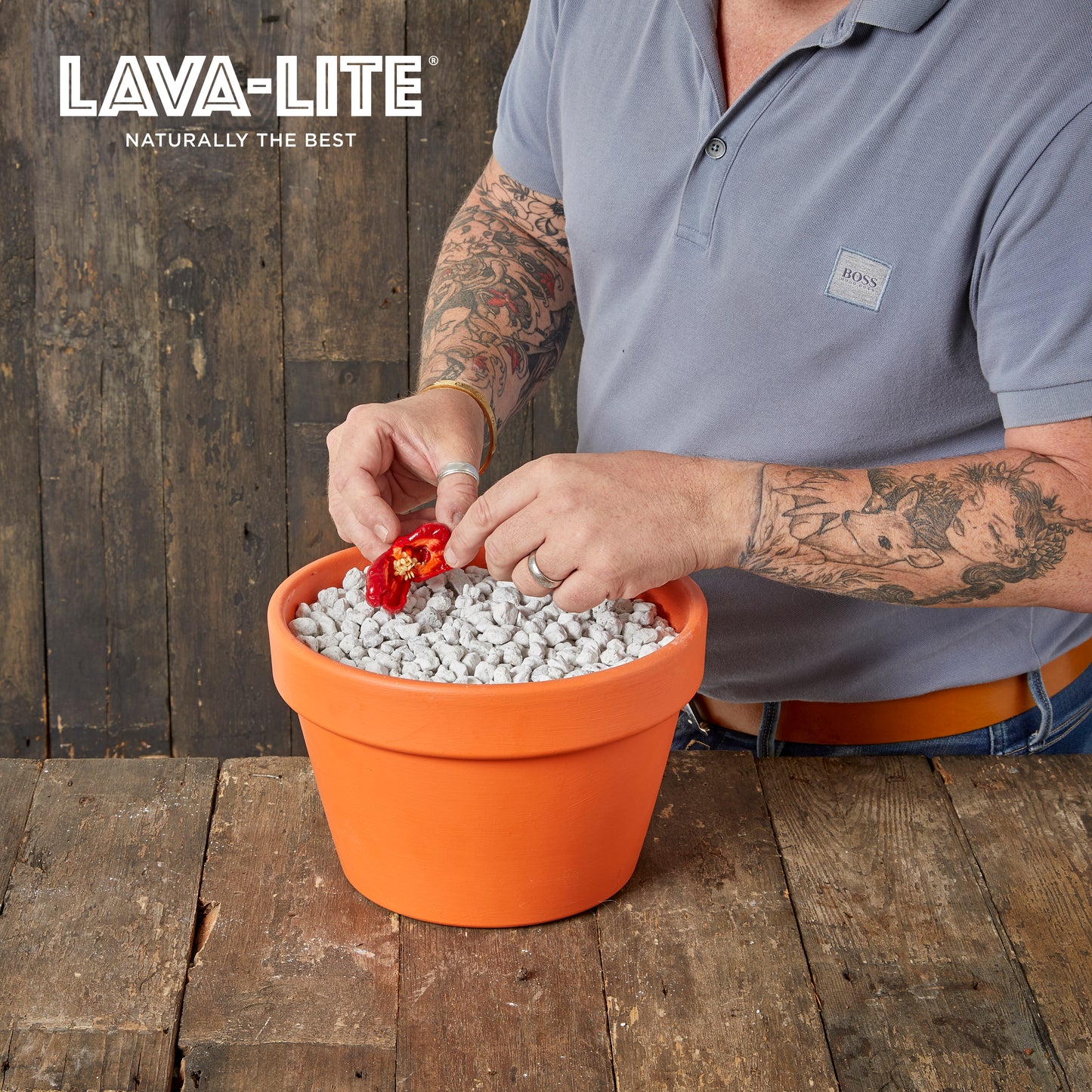 LAVA‑LITE HYDRO‑GRO+ Hydroponic Growing Media (The Light Blue One)
