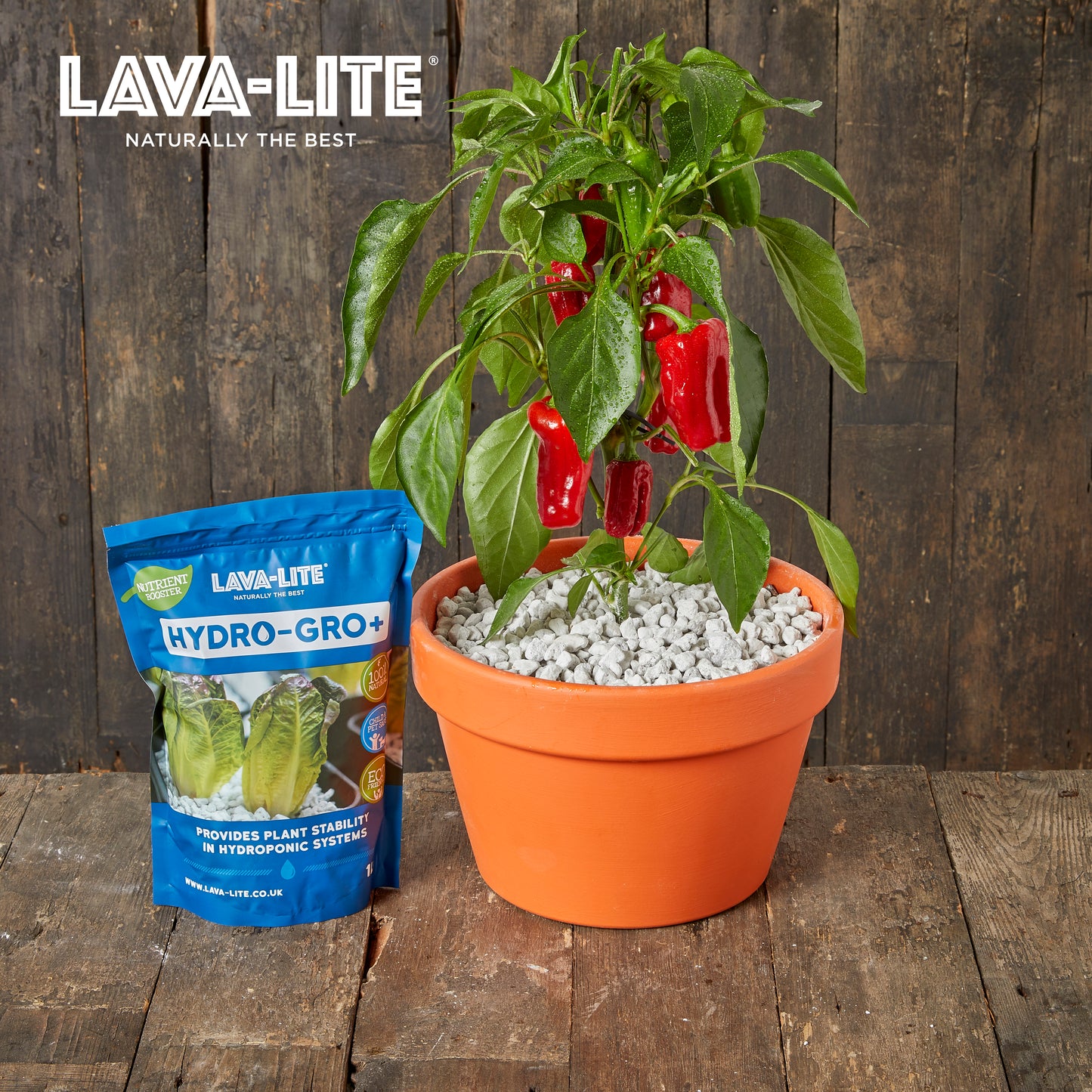 LAVA‑LITE HYDRO‑GRO+ Hydroponic Growing Media (The Light Blue One)