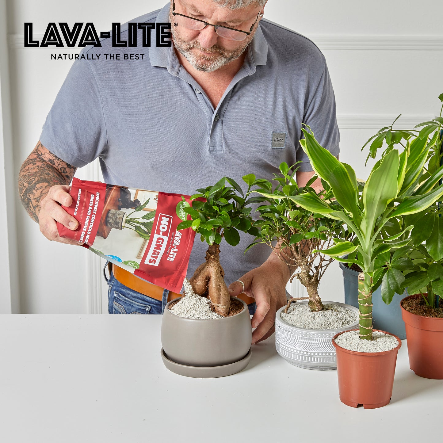 Houseplant Autumn Care Pack 🍂 LAVA-LITE