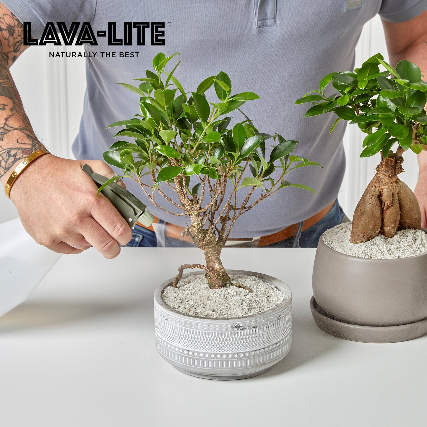 LAVA‑LITE NO‑GNATS  Natural Fungus Gnat Control (The Red One)
