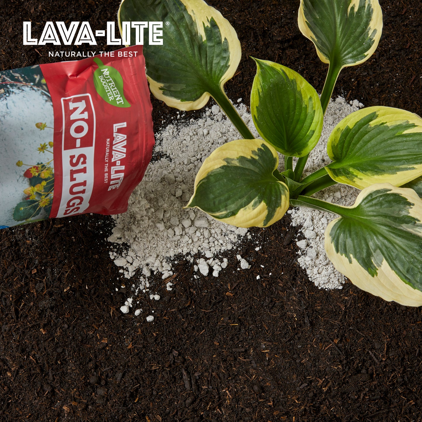 LAVA‑LITE NO‑SLUGS  Natural Slug & Snail Deterrent (The Other Red One)