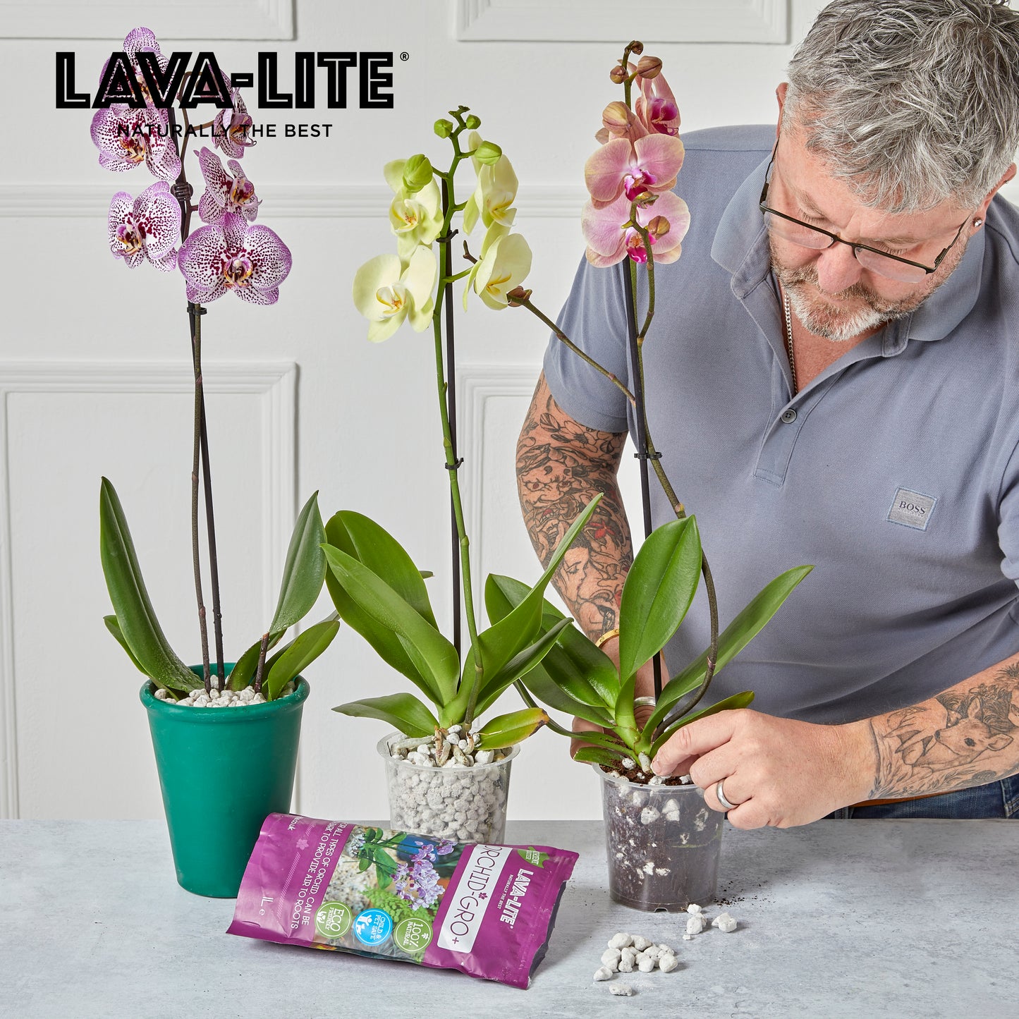 LAVA‑LITE ORCHID‑GRO+  Natural Orchid Growing Media (The Purple One)