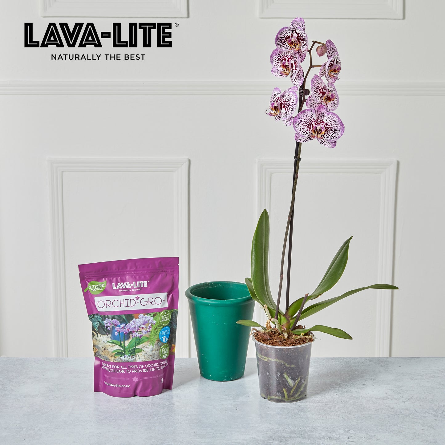 LAVA‑LITE ORCHID‑GRO+  Natural Orchid Growing Media (The Purple One)
