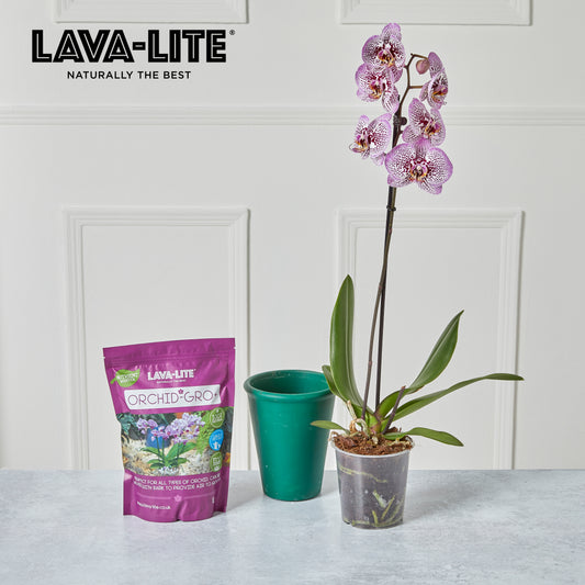 LAVA‑LITE ORCHID‑GRO+  Natural Orchid Growing Media (The Purple One)