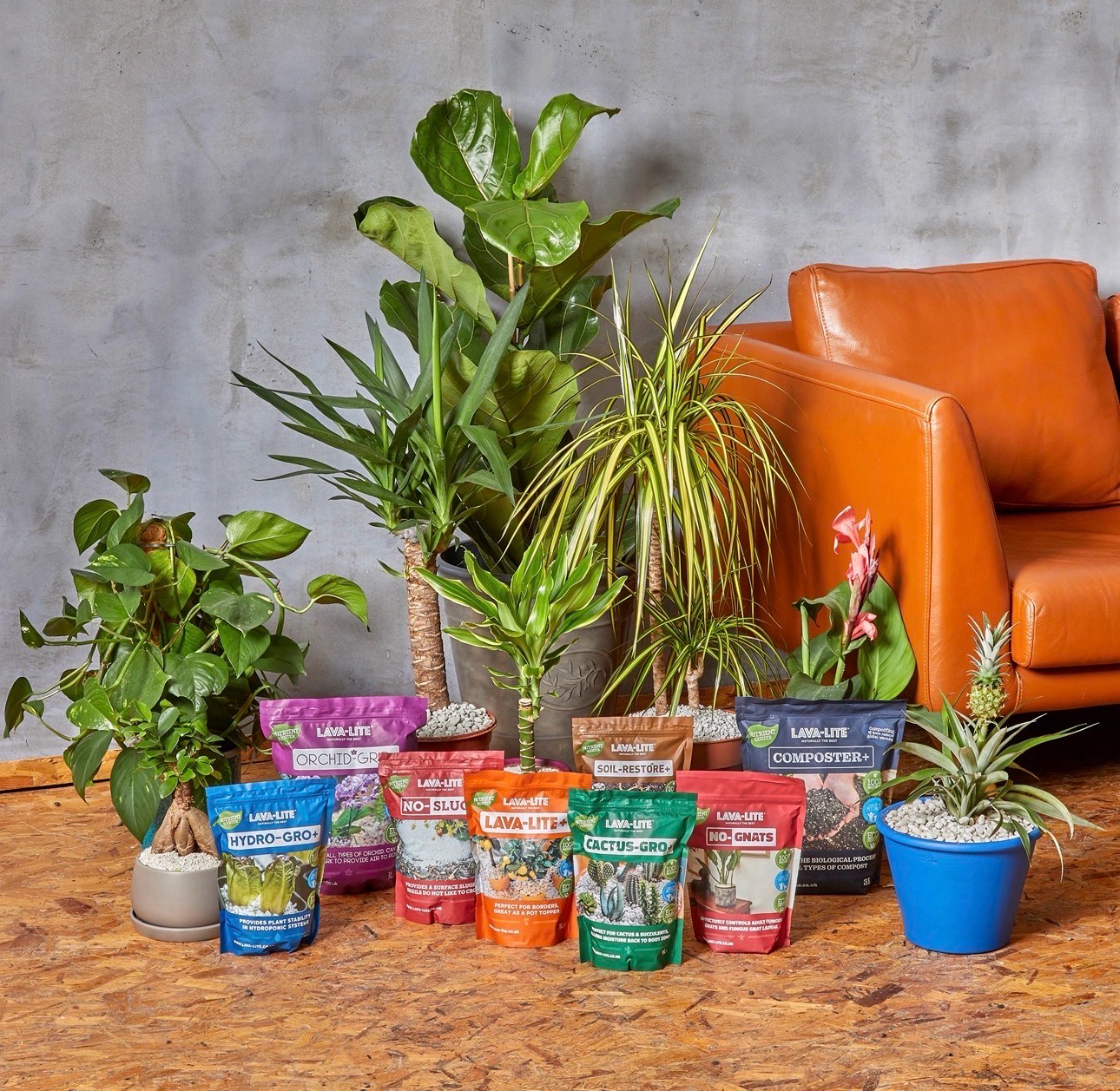 Load video: LAVA-LITE No Gnats for the treatment of fungus gnats on houseplants and soil